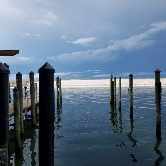 Meet your Posher, Desiree - Picture 2 of 2